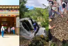 el verano más perrón de méxico está en tabasco turismo