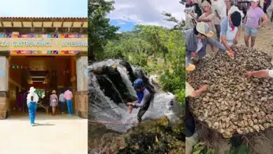 el verano más perrón de méxico está en tabasco turismo