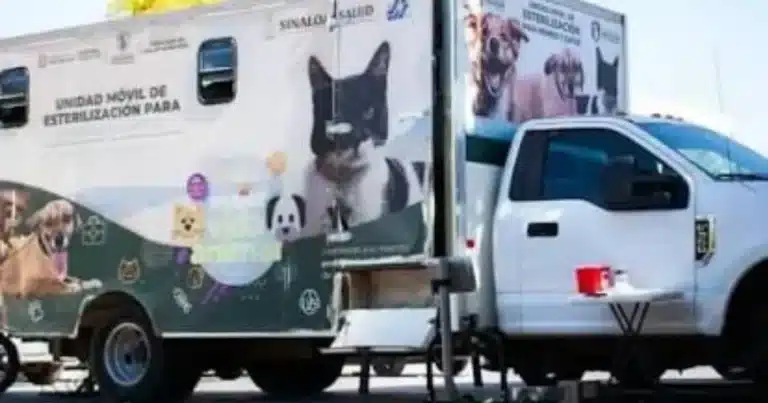 Jornada Estatal de Vacunación Antirrábica y Esterilización (Foto de cortesía)