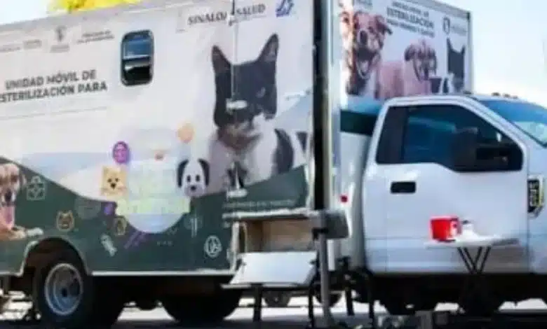 Jornada Estatal de Vacunación Antirrábica y Esterilización (Foto de cortesía)