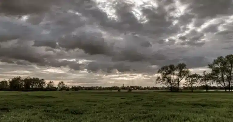 Lluvias intensas para este viernes en Tabasco (Foto de internet)