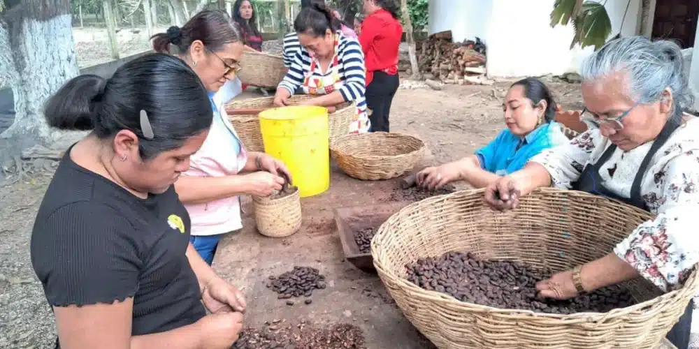 Productoras de Cunduacán (Foto de cortesía)
