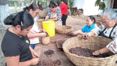 Productoras de Cunduacán (Foto de cortesía)