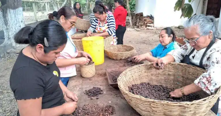Productoras de Cunduacán (Foto de cortesía)