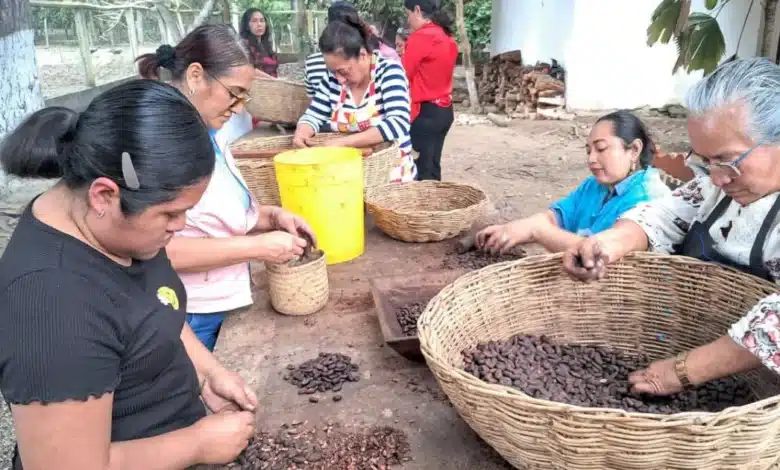 Productoras de Cunduacán (Foto de cortesía)