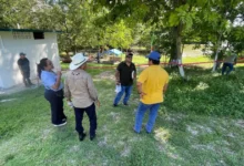 evalúan apertura de cascadas de reforma