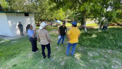 evalúan apertura de cascadas de reforma