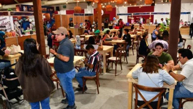 Festivales disparan el turismo regional