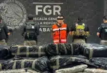 golpe al narcotráfico en tabasco caen más de 1.2 toneladas de marihuana