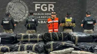 golpe al narcotráfico en tabasco caen más de 1.2 toneladas de marihuana