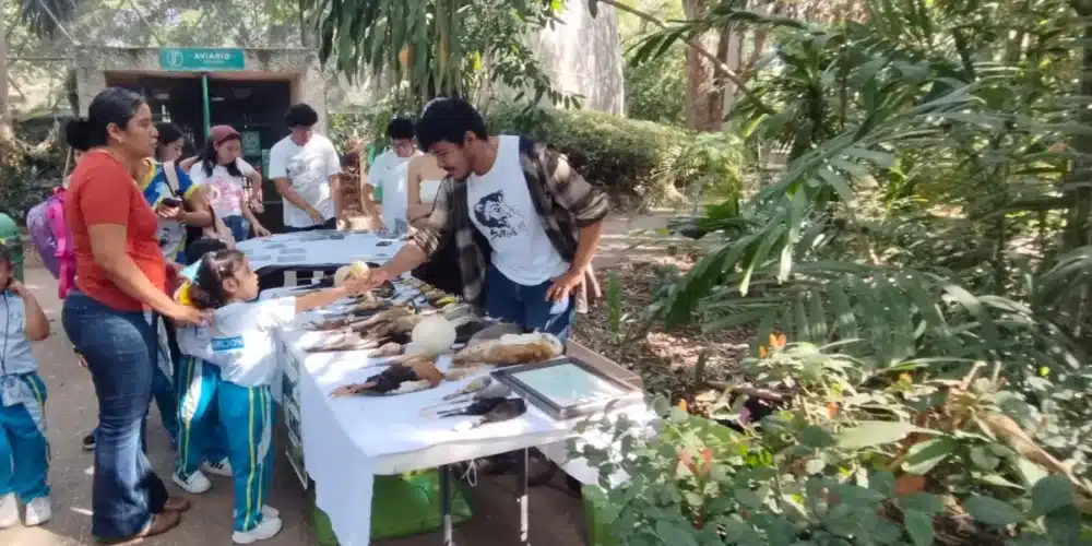 gratuidad en la venta detona la afluencia