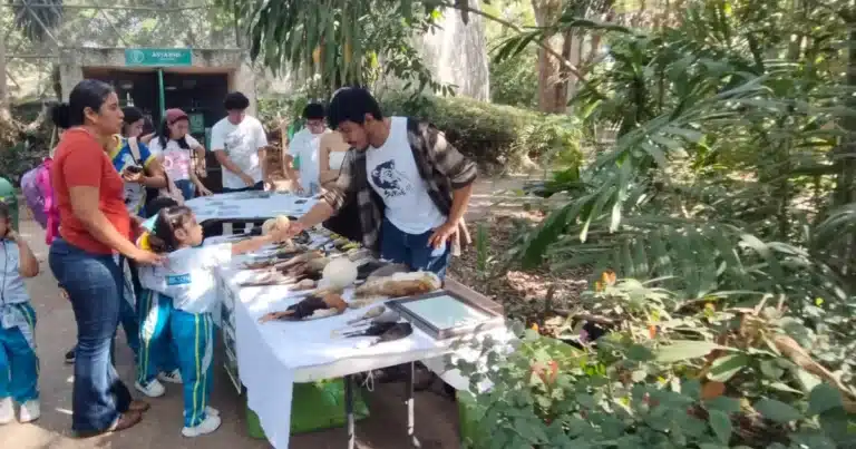 gratuidad en la venta detona la afluencia