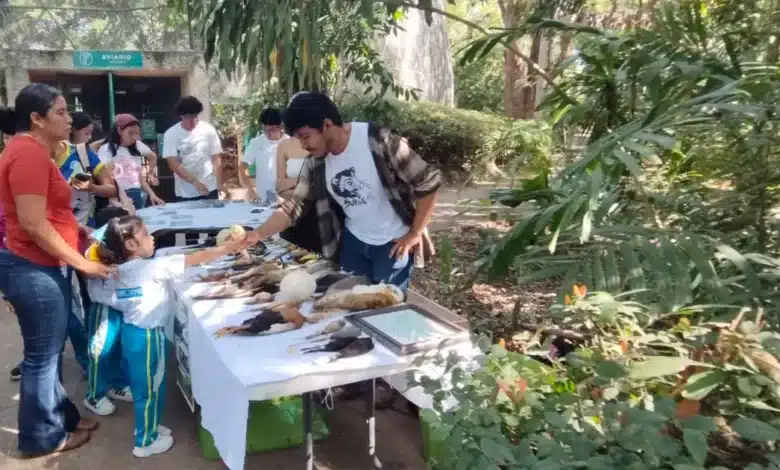 gratuidad en la venta detona la afluencia