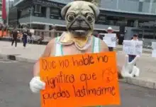 iniciadas un total de 346 investigaciones por maltrato animal