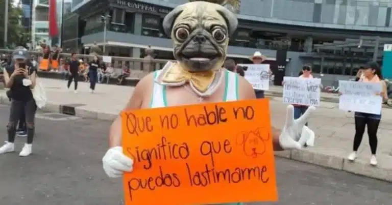 iniciadas un total de 346 investigaciones por maltrato animal