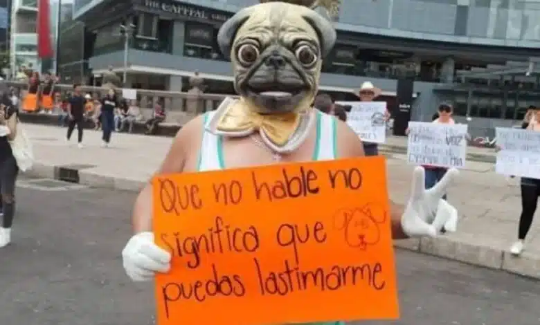iniciadas un total de 346 investigaciones por maltrato animal