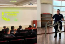 llega a villahermosa el quinto festival de serpientes