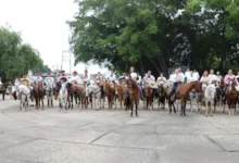 más de 1,500 jinetes celebrarán el día del caballo
