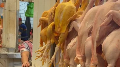mundial no favorece las ventas de pollo en mercado de villahermosa