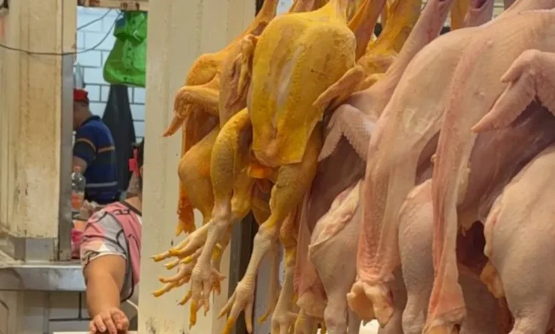 mundial no favorece las ventas de pollo en mercado de villahermosa
