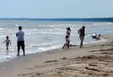 presenta la estrategia turística “verano más perrón”