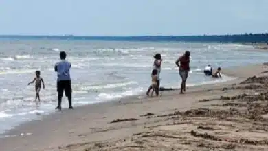 presenta la estrategia turística “verano más perrón”