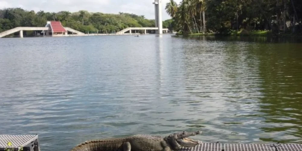 Prevén chubascos y ambiente caluroso para Tabasco