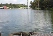Prevén chubascos y ambiente caluroso para Tabasco
