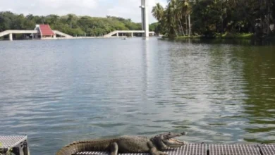 Prevén chubascos y ambiente caluroso para Tabasco