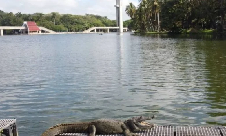 Prevén chubascos y ambiente caluroso para Tabasco