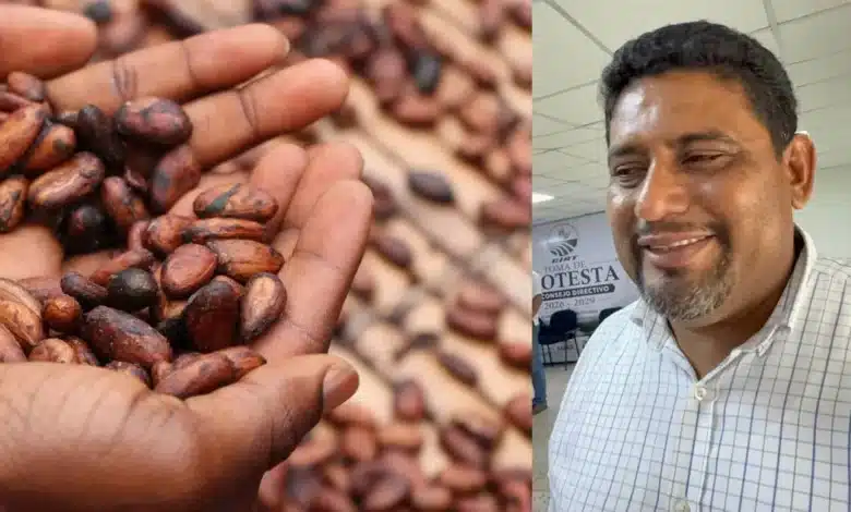 Avanza censo de productores para definir red de acopio de cacao