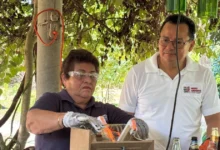 revolución verde en el vivero “el dorado”
