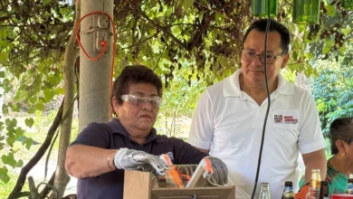 revolución verde en el vivero “el dorado”