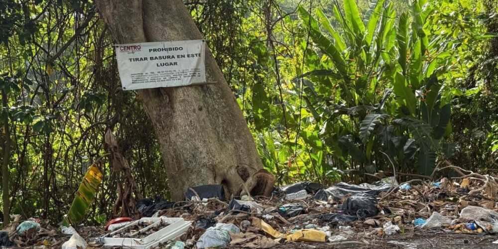 Río de basura amenaza a los saraguatos