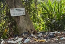 Río de basura amenaza a los saraguatos