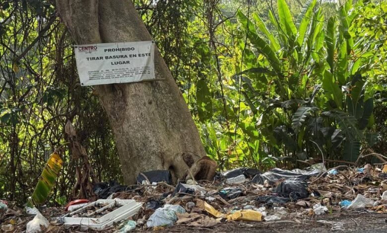 Río de basura amenaza a los saraguatos