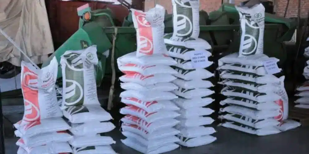sader beneficia a más de 27 mil productores con fertilizantes