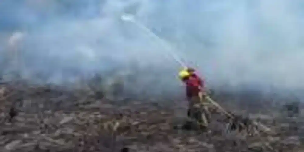 suman 231 incendios de pastizales en el año y urgen conciencia ciudadana