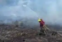 suman 231 incendios de pastizales en el año y urgen conciencia ciudadana
