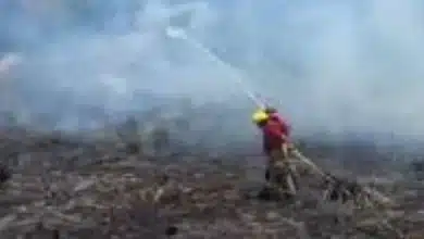 suman 231 incendios de pastizales en el año y urgen conciencia ciudadana