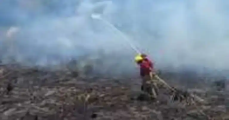 suman 231 incendios de pastizales en el año y urgen conciencia ciudadana