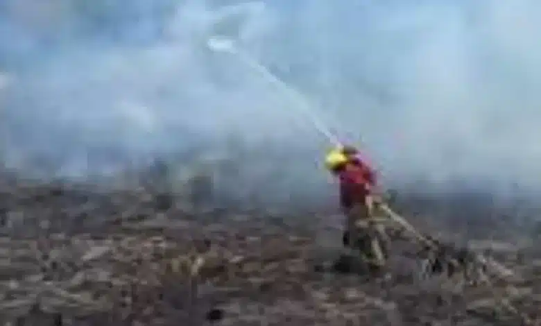 suman 231 incendios de pastizales en el año y urgen conciencia ciudadana