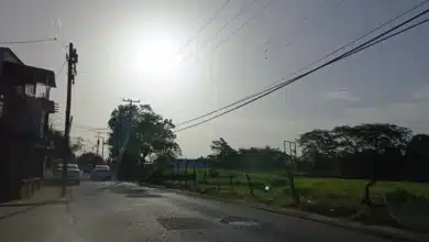 Termómetros rozarán los 40 grados este fin de semana