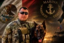 capitán de marina muere al proteger a madres buscadoras durante ataque con explosivos en mazatlán
