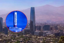chile declara alerta sanitaria preventiva por hantavirus