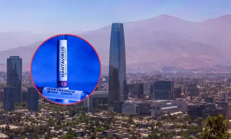 chile declara alerta sanitaria preventiva por hantavirus