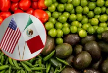 Empresas de Estados Unidos rechazan restricciones a productos agrícolas de México (Fotos de internet)