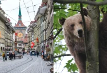 3 atractivos imperdibles de Berna, Suiza (Fotos de internet)