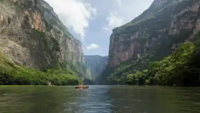 Cómo llegar al Cañón del Sumidero: guía para tu visita (Foto de internet)