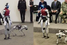 Presentan a CeCi y K5, robots asistentes del C5 en Edomex (Fotos de internet)